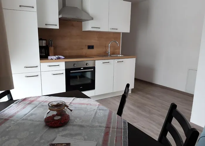 Appartement Leogang 아파트 *